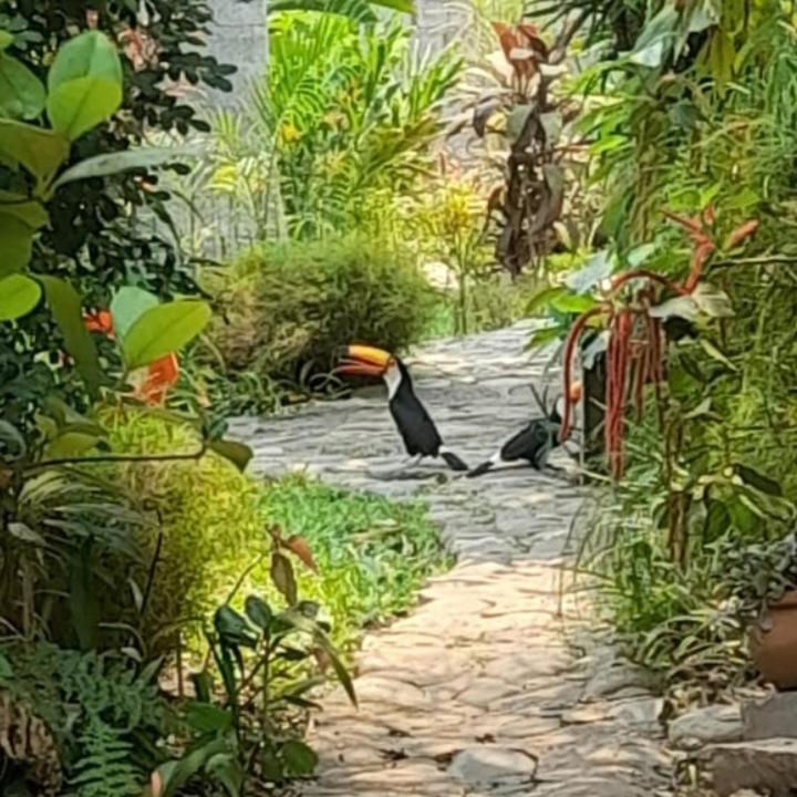 El Jardin Colonial Bed & Breakfast *